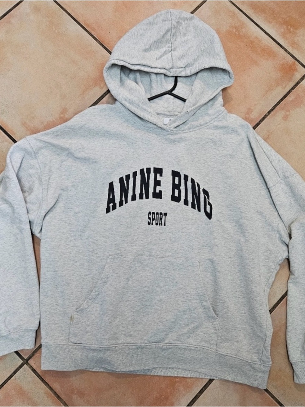 Anine Bing Harvey Hoodie